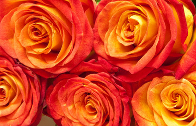 Similar image 886290