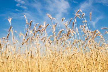 Similar image 886376