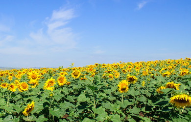 Similar image 886421