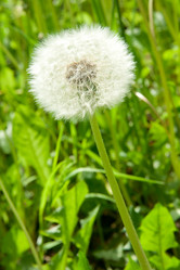 Similar image 886424