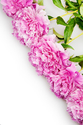 Similar image 886429