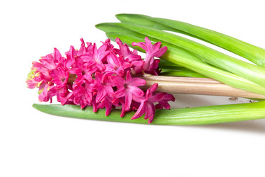 Similar image 886436