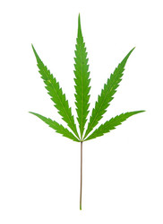 Similar image 886441