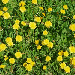 Similar image 886447