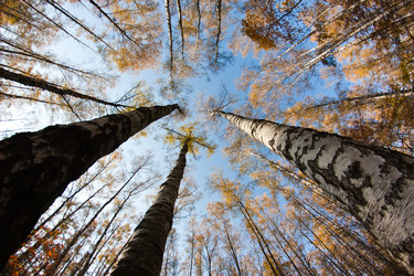 Similar image 886481