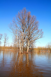 Similar image 886515