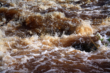 Similar image 886559