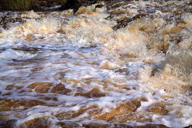 Similar image 886562