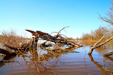 Similar image 886575