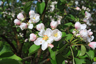 Similar image 886584