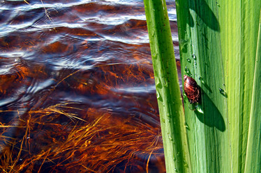 Similar image 886597