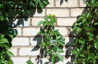 Similar image 886619