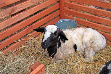 Similar image 886664