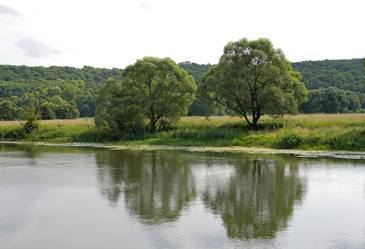 Similar image 886705