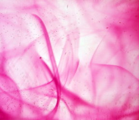 Similar image 886717