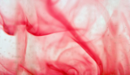 Similar image 886719