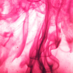 Similar image 886722