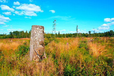 Similar image 886750