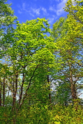 Similar image 886776