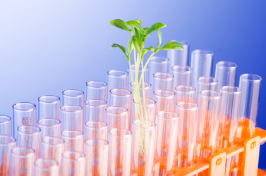 Similar image 886779