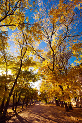 Similar image 886940