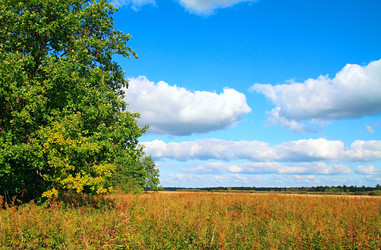 Similar image 886964