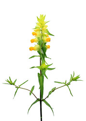 Similar image 886978