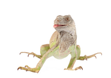 Similar image 887014