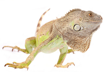 Similar image 887029