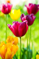 Similar image 887162