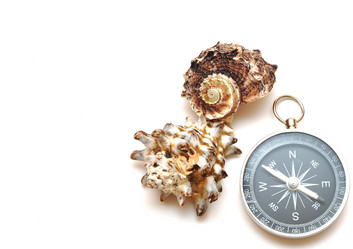 Similar image 887185