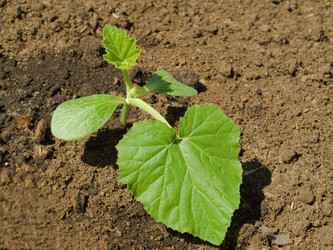 Similar image 887216