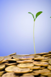 Similar image 887226