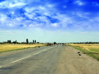 Similar image 887329