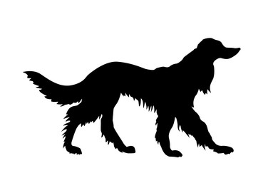 Similar image 887332