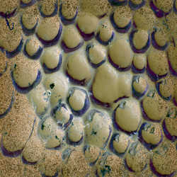 Similar image 887378