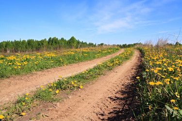 Similar image 887396