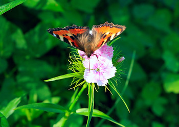 Similar image 887399