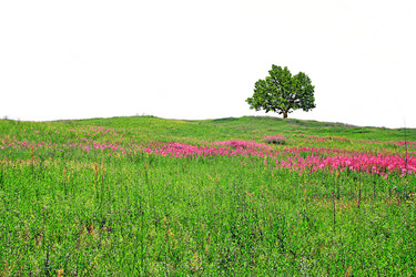 Similar image 887406