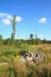 Similar image 887409