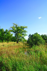 Similar image 887415