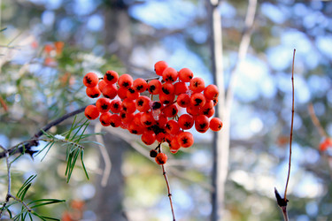 Similar image 887456