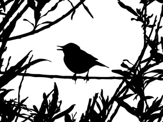 Similar image 887486