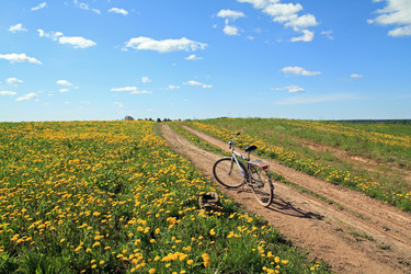 Similar image 887492