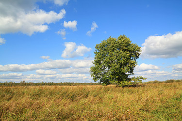 Similar image 887497