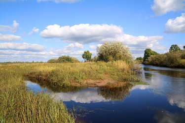 Similar image 887503