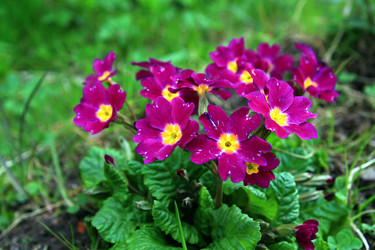 Similar image 887563