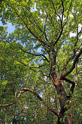 Similar image 887573