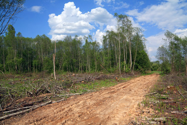 Similar image 887600