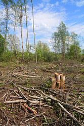 Similar image 887601